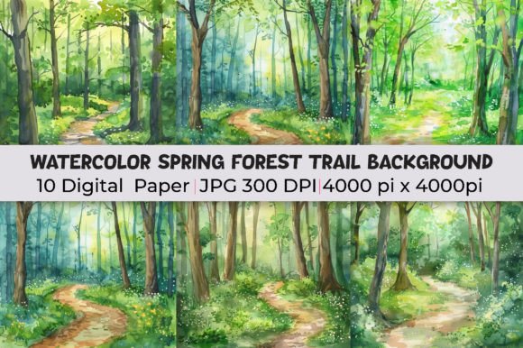 Spring Forest Trail Backgrounds: Elevate Your Visual Projects