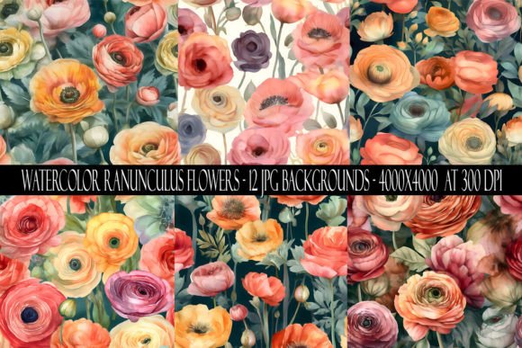 Watercolor Ranunculus Flower Backgrounds for Your Creative Projects